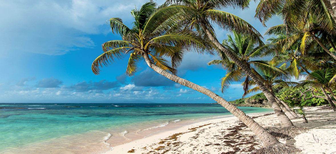 vacances à La Guadeloupe