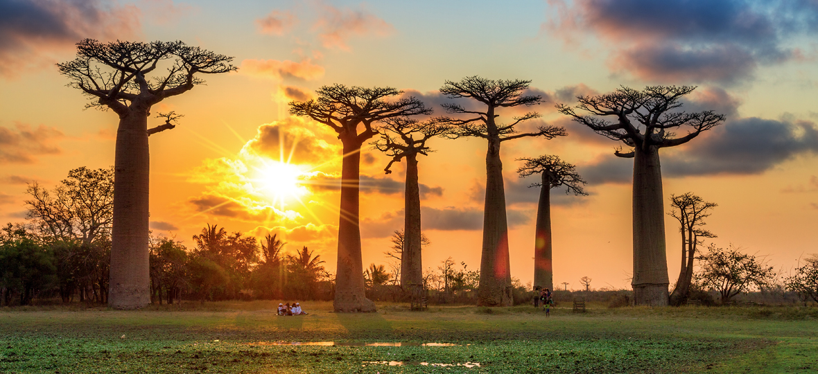 vacances à Madagascar